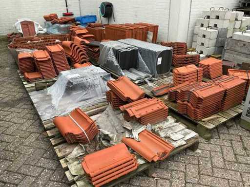 Molte tegole del tetto (17x)