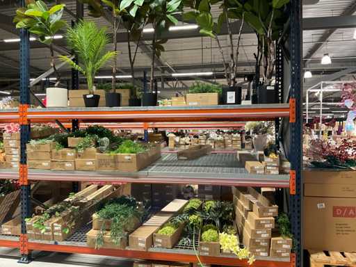 Art Art houseplants and flowers