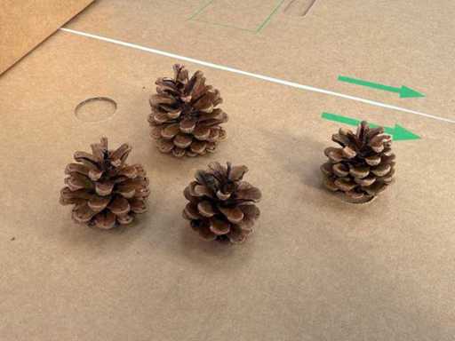 Sacul de conuri de pin (12x)