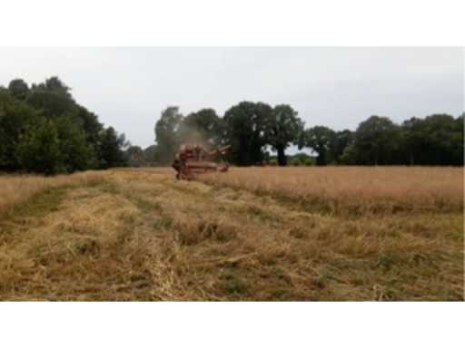 78c07954-2b5d-4b27-98a2-a32fc8493f33.mp4