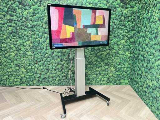 IIyama – monitor Prolite 55" z statywem elektrycznym