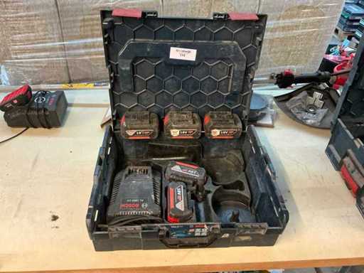 Bosch Koffer met 2 accu’s en acculader