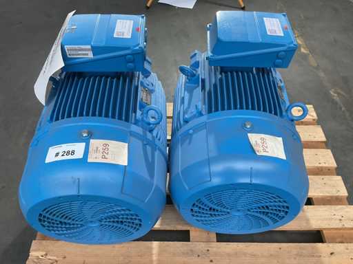 Motor eléctrico Elektra (2x)