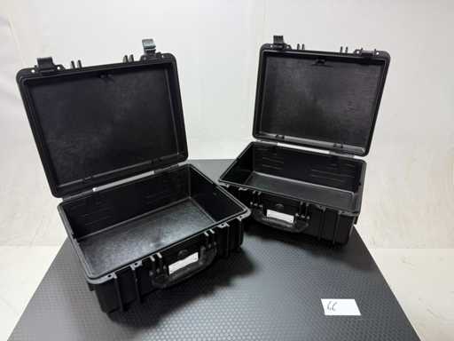 KVANT - 2025 - Medium Format Pelicasus (2x)
