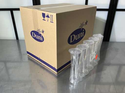 Duni - 120145 - Doos disposable champagneglazen (12x)