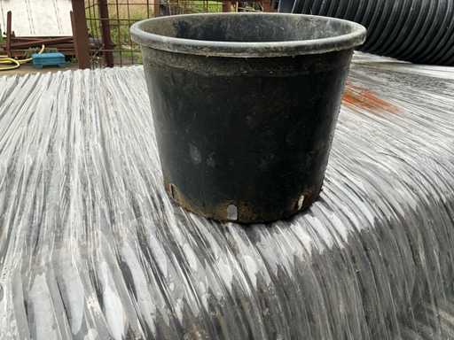 2019 Buitenpot (24000x)