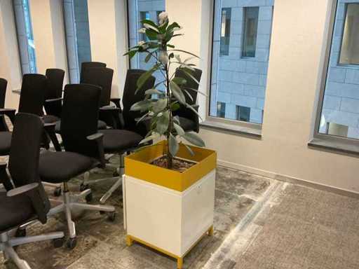 Hydrocultuurplant met plantenbak