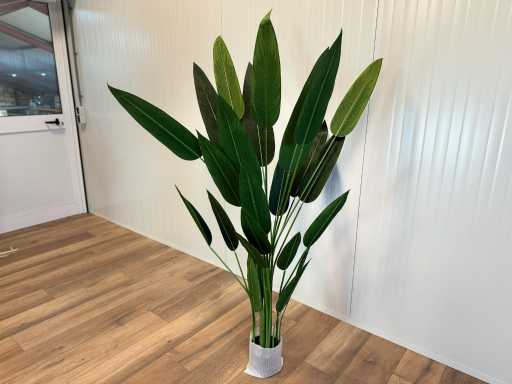 Sztuczne drzewo Royal Pachira