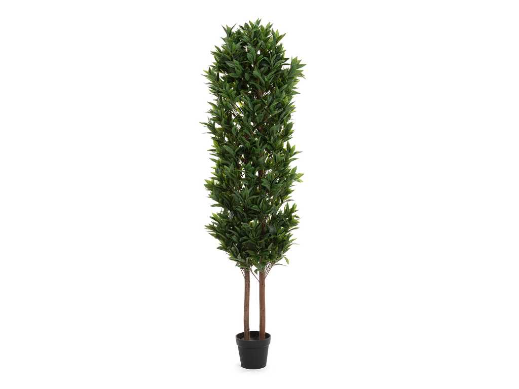 1 x Laurel tree - Artificial plant - 190 cm