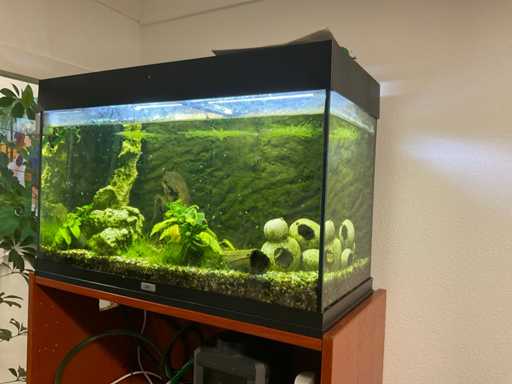 Aquarium Juwel avec accessoires + meuble