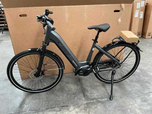 Eluxo Oreva 28" rga matt