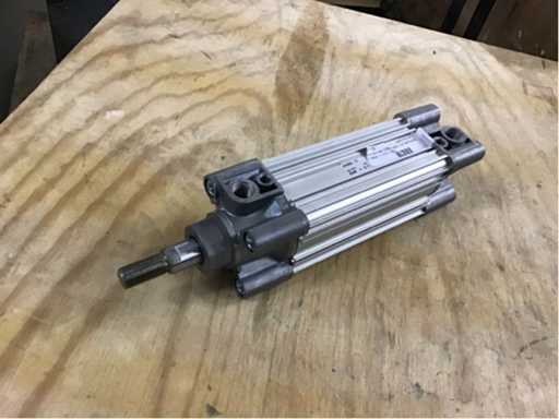 Pneumatic cylinders