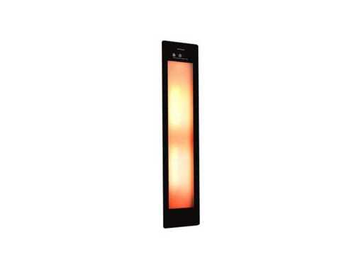Sunshower Medium Glass Plate Black