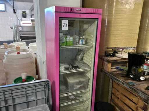 Display case refrigerator