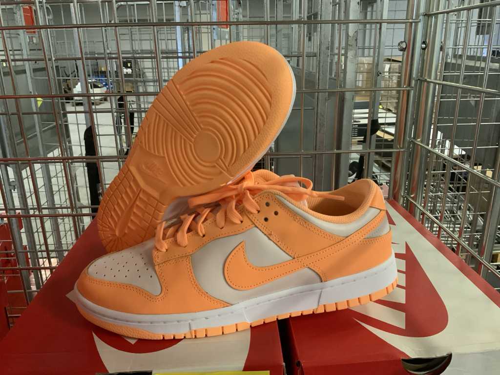 W Nike Dunk Low Peach Cream Sneakers (6x)