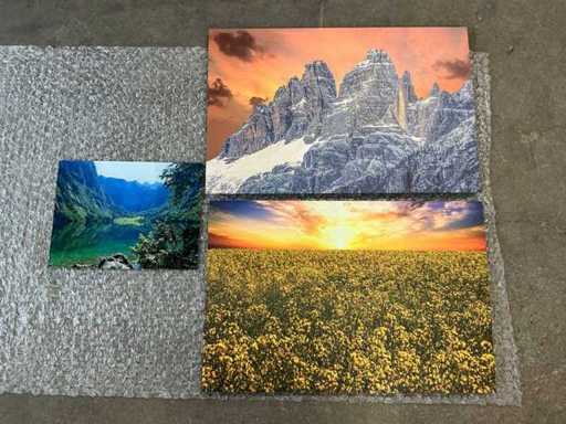 Print "Boudewijn Dupont" (3x)
