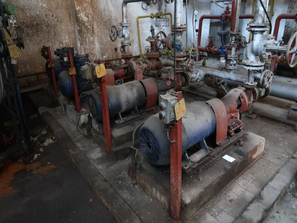 Pumps with electric motor (4x)