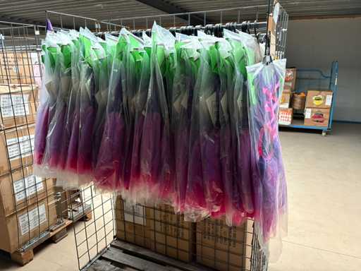 Karnevalskostüm Prinzessinnenkleid Lila/Grün (90x)