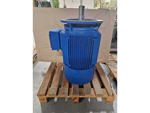 MOLL  IEC electromotor