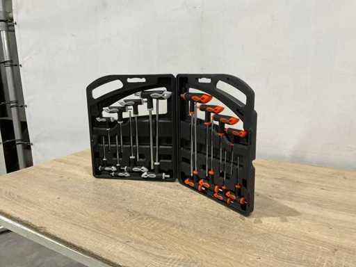 Stahlkaiser – L-Schlüssel-Set 16 Stücke