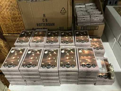Collection Party Anna’s fil argenté blanc chaud 100LED (130x)