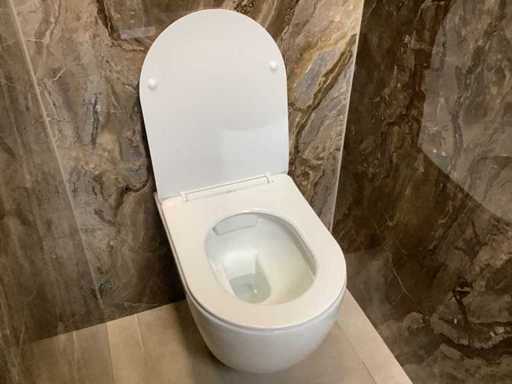 Bi & Hi - 176 - Wall-hung toilet