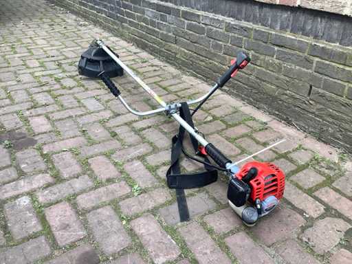 Robin mb2001 au Freischneider