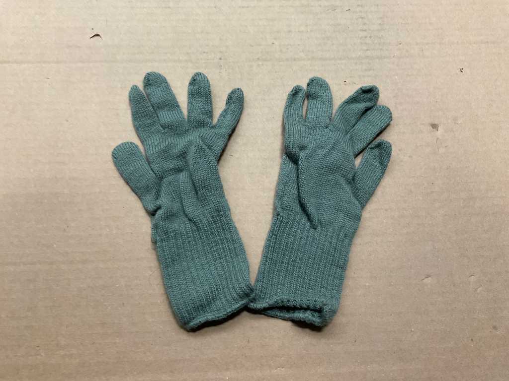 Cold weather glove inserts (3x)