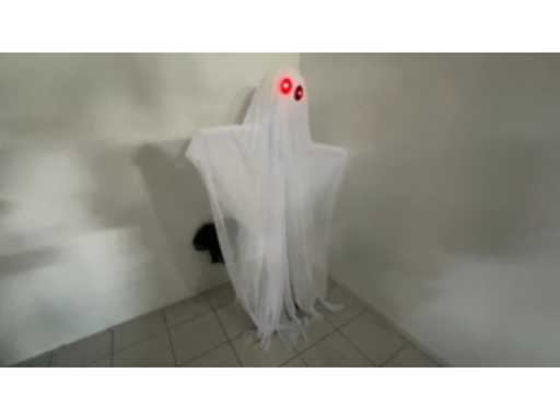 ad698df2-8e5d-4ddf-9a57-3d66f8775a3e.mp4