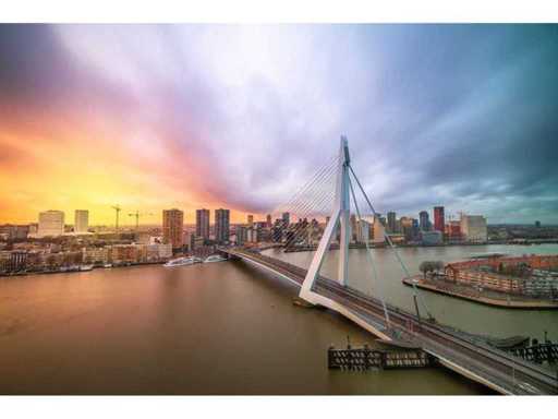 Studio 57 - Foto su dibond - 'Swan' - 100 x 150 cm.