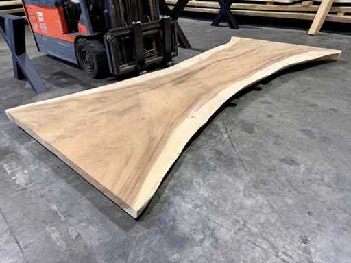 Blat pnia drzewa Suar 300 cm.