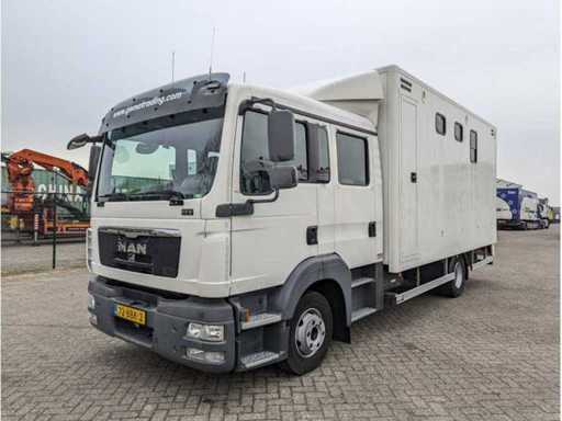 Homme - TGL 1.180 - Camion à chevaux - 2012