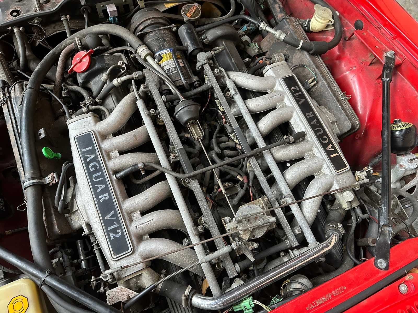 Jaguar XJS Cabriolet 5,3 V12 266 PS 1992