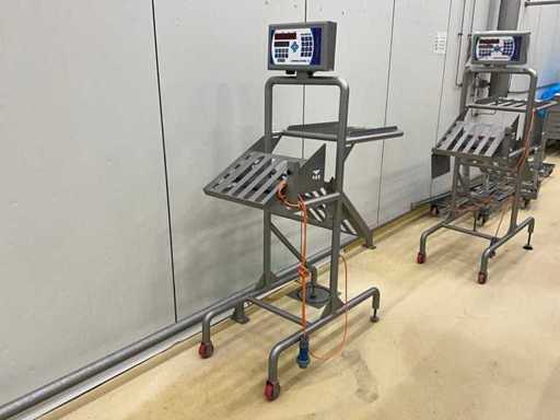 Marco Linemaster IV Scales Scale