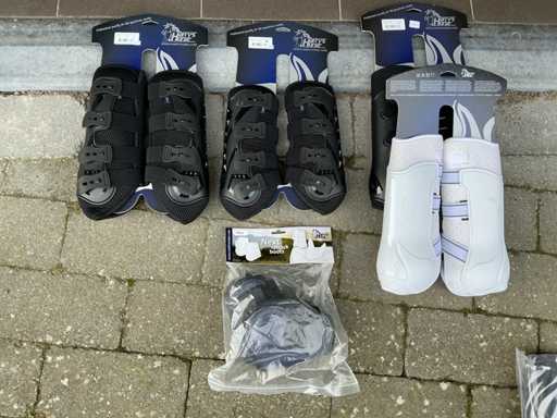 Protection horses (5x)