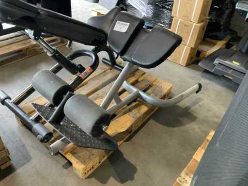 Gym80 Signum hyperextension Krachtstation