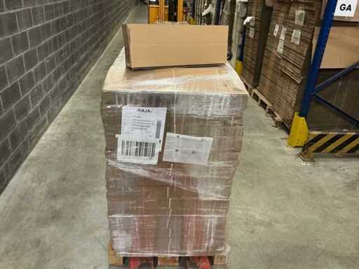 Raja 60x10x 10 cm kartonnen dozen (960x)