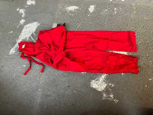 Pangolina complessivo (60x)