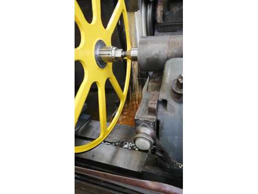 Fortuna%2520-%2520video.mp4