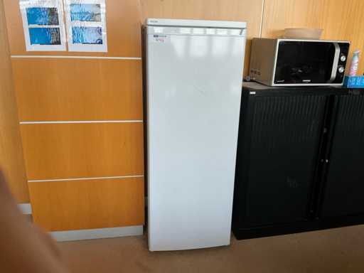 PROLINE PLF241L - 240L Réfrigérateur