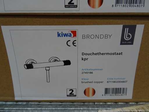 Blue Label - Brondby - 2745186 - Duschthermostat