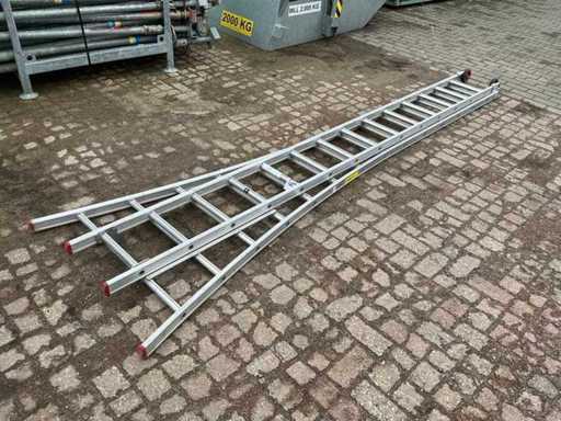 Petite échelle géante