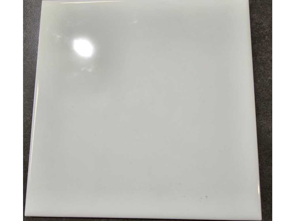 white Shiny Cinca 15x15cm 39.71m²