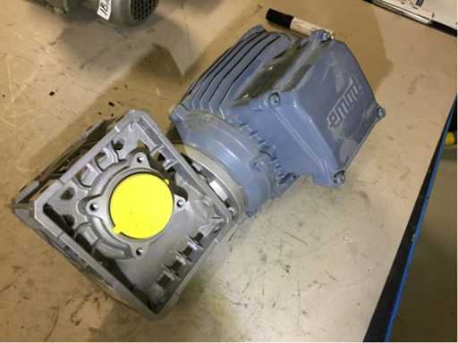 Electric motor with gearbox (PL/A/26)