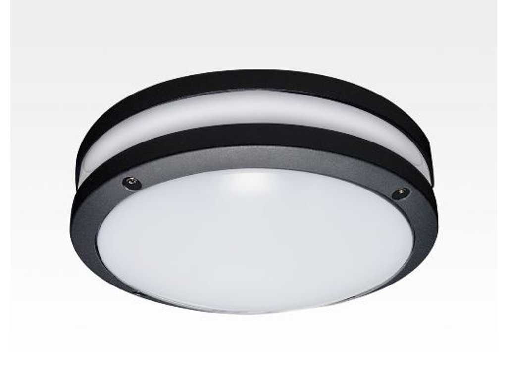 Pack of 12 - 20W LED Wall/Ceiling Light Anthracite Round Daylight White / 6000-6500K 900lm 230VAC IP54 120Degree Wall Lamp Ceiling Light Aisle Light Fasade Lamp Entrance Light Outdoor Light Interior Light - SSAMLight