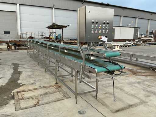 2010 MAREL Nastro trasportatore