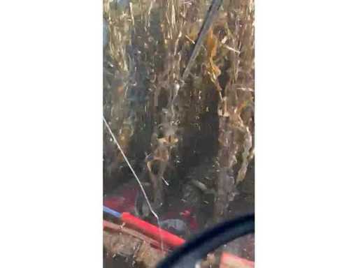 15523bc8-54f8-42ab-af33-d79d7e8d27ec.mp4