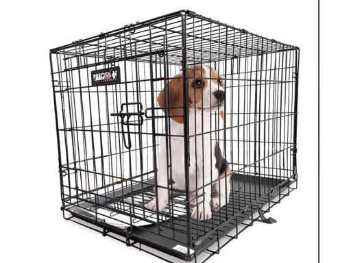 Maxxpet/Precision 88394 Hondenmanden en kussens (26x)