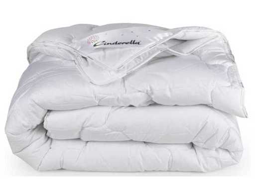 Pilota Cenușăresei