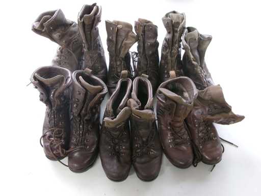 Alt-Berg, Bates Patrol, Magnum Kampfstiefel Mix (R15) (23x)